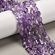Natürlichen Amethyst Perlen Stränge&nbsp;G-P568-C04-01-1