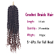 Torsion de printemps ombre couleurs crochet tresses cheveux OHAR-G005-25-5