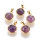 Natural Amethyst Charms G-L513-06D-1