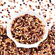 Undurchsichtige Glasperlen&nbsp;SEED-N007-19C-2