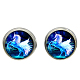 Picture Glass Stud Earrings EJEW-O088-62-1