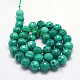 Natural Peacock Agate Beads Strands G-G213-16mm-04-2