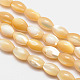 Chapelets de perles ovales en coquillage naturel X-SSHEL-M016-01B-1