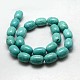 Natural Howlite Beads Strands TURQ-L003-01E-3