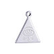 304 Stainless Steel Charms STAS-R082-VC186-2-1