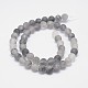 Frosted Natural Cloudy Quartz Round Beads Strands G-F255-02-10mm-2