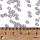 Glass Seed Beads SEED-H002-E-A1421-4