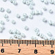 Glass Seed Beads SEED-S060-A-F408-5