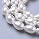 Perles de perles de coquillages polies X-BSHE-L042-A05-2