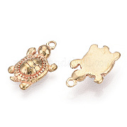 Charms in ottone KK-S350-243C-NF