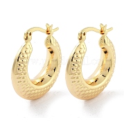 Brass Hoop Earrings EJEW-H301-09G
