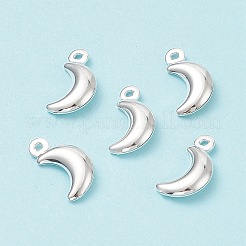 Ciondoli in acciaio inox 304&nbsp;STAS-I138-05S