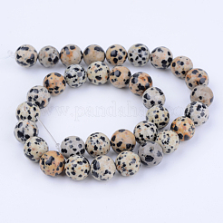Chapelets de perles en jaspe dalmatien naturelle&nbsp;X-G-Q462-10mm-30