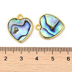 Natur Paua Muschel Anhänger&nbsp;KK-E059-10G