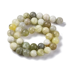 Natürlich neu Jade Perlen Stränge&nbsp;G-F591-16-10MM