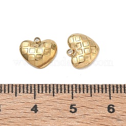 Breloques en acier inoxydable 304&nbsp;SA-CBAF3CF-05F-G