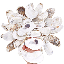 30 pièce 3 styles de coquille d'huître&nbsp;DIY-PH0029-34