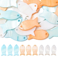 10pcs natürliche Muschelanhänger&nbsp;SHEL-YW0001-12
