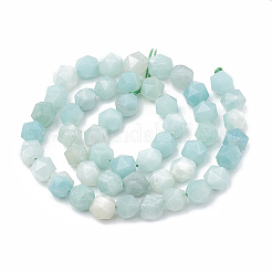 Fili di perline amazonite naturale&nbsp;G-S332-10mm-009