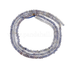 Naturperlen Stränge iolite&nbsp;G-F789-02
