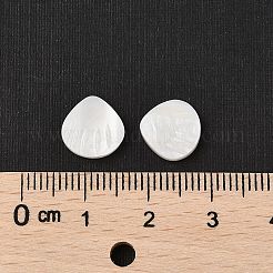 Shell perle naturali di acqua dolce&nbsp;SHER-R100-04A
