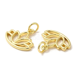 Pendentifs de placage en laiton&nbsp;KK-C030-07G
