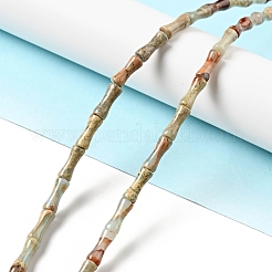 Natürliche Aqua Terra Jaspis Perlen Stränge&nbsp;G-E071-B02
