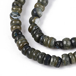Brins de perles d'eau douce naturelles teints en coquille&nbsp;SHEL-T020-29A-01