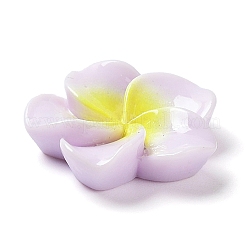 Undurchsichtigen Cabochons&nbsp;RESI-G068-02E