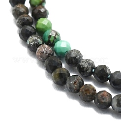 Perline Chrysocolla naturale fili&nbsp;G-P457-A03-21