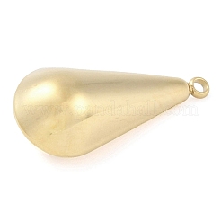 Pendentifs en acier inoxydable 304 avec placage ionique (IP)&nbsp;STAS-P366-60G