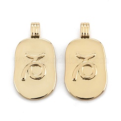 Pendentifs en laiton&nbsp;KK-O140-20G-05