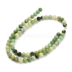 Natur Serpentin Perlen Stränge&nbsp;G-Z110-C04-6mm