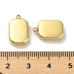 Anhänger aus Edelstahl 304&nbsp;STAS-L022-021G