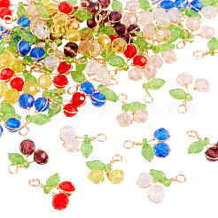 60pcs 6 Farben Glasanhänger&nbsp;PALLOY-TA00249