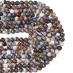 Natur Botswana Achat Perlen Stränge&nbsp;G-G453-B01-10mm