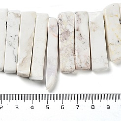Natürliche Howlith Perlen Stränge&nbsp;G-L551B-09