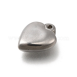 Anhänger aus 304 Edelstahl&nbsp;STAS-C119-05P