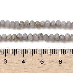 Fili di perline tinti in conchiglia naturale d'acqua dolce&nbsp;SHEL-R100-13A-04