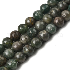 Verde naturale perline di apatite fili&nbsp;G-K350-C04-8mm
