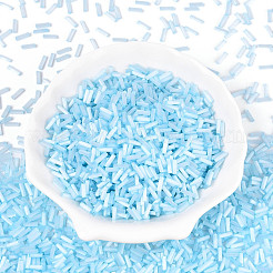 Perles de bugle en verre&nbsp;X-SEED-N007-28H