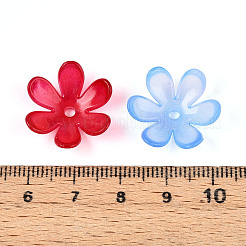 Capuchons de perles en plastique transparent&nbsp;KY-N025-01