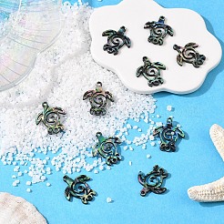 10 Stück natürliche Paua-Muschel-Verbinder-Charms&nbsp;SHEL-YW0001-16