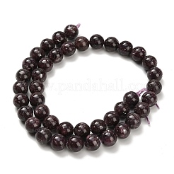 Natürliche Lepidolith / lila Glimmer Steinperlen Stränge&nbsp;G-H335-B03-10mm-A