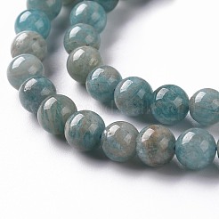 Fili di perline amazonite naturale&nbsp;X-G-S333-6mm-005