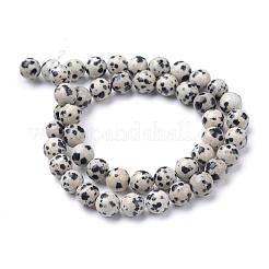 Dalmata naturale filoni diaspro perline&nbsp;G-R345-10mm-51