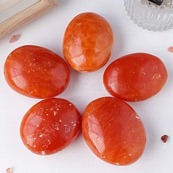 Natürliche rote Aventurin-Palmensteine&nbsp;WG36837-01