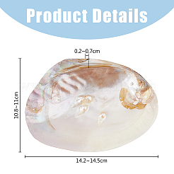 Natürliche Muschelschmuckplatten&nbsp;DJEW-WH0058-08