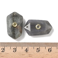 Anhänger aus natürlichem Labradorit mit Facettenschliff&nbsp;G-B151-02G