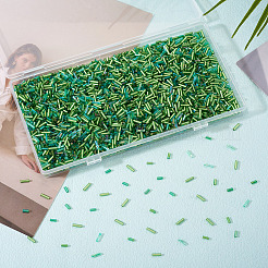 Transparente Stiftperlen-Sets&nbsp;SEED-TA0001-57